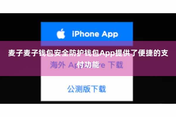 麦子麦子钱包安全防护钱包App提供了便捷的支付功能