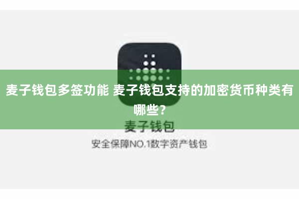 麦子钱包多签功能 麦子钱包支持的加密货币种类有哪些？