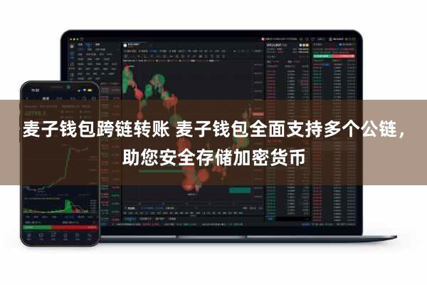 麦子钱包跨链转账 麦子钱包全面支持多个公链，助您安全存储加密货币