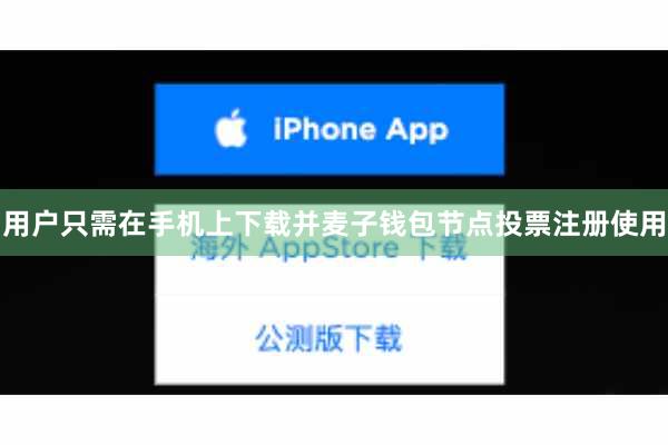 用户只需在手机上下载并麦子钱包节点投票注册使用
