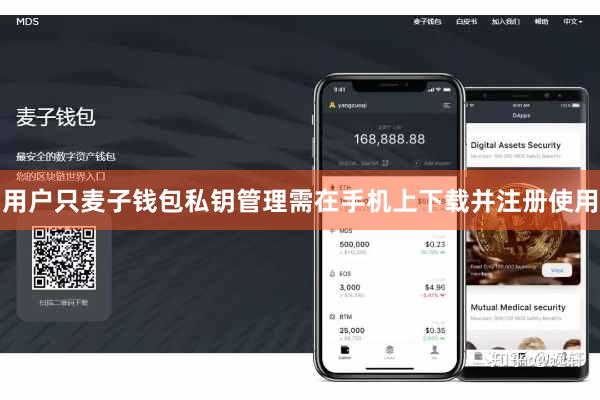 用户只麦子钱包私钥管理需在手机上下载并注册使用
