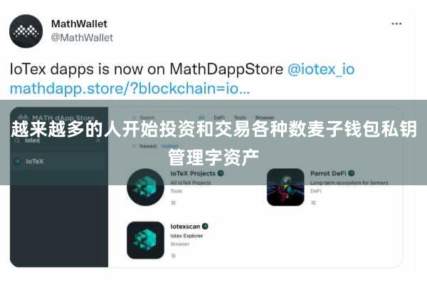 越来越多的人开始投资和交易各种数麦子钱包私钥管理字资产