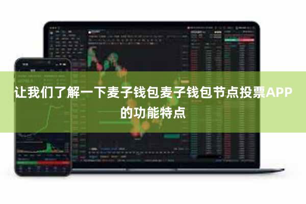 让我们了解一下麦子钱包麦子钱包节点投票APP的功能特点