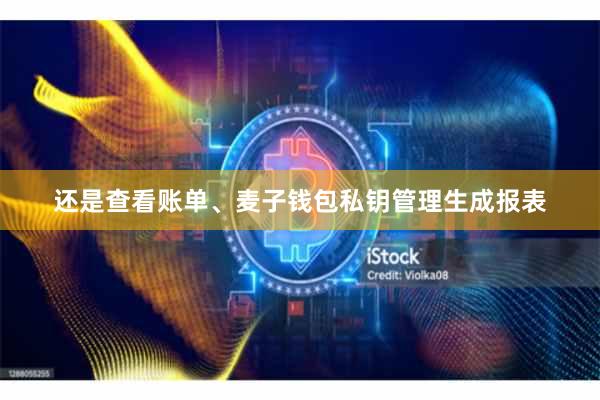 还是查看账单、麦子钱包私钥管理生成报表