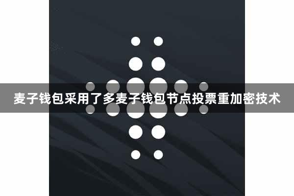 麦子钱包采用了多麦子钱包节点投票重加密技术