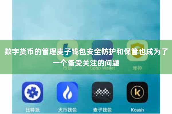 数字货币的管理麦子钱包安全防护和保管也成为了一个备受关注的问题