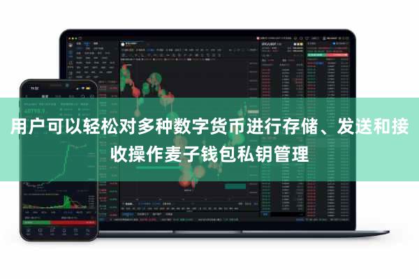 用户可以轻松对多种数字货币进行存储、发送和接收操作麦子钱包私钥管理