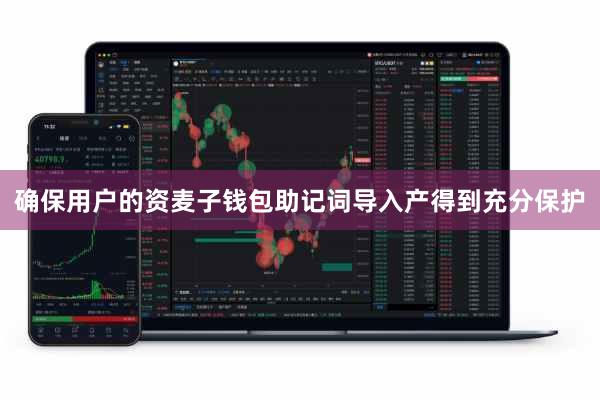 确保用户的资麦子钱包助记词导入产得到充分保护