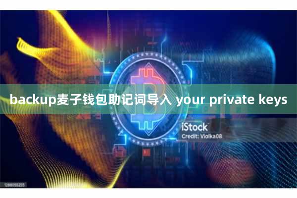 backup麦子钱包助记词导入 your private keys