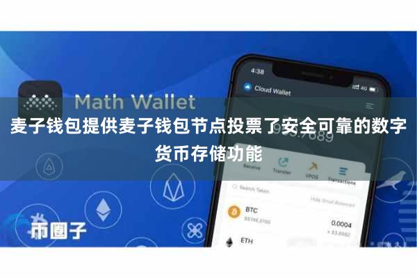 麦子钱包提供麦子钱包节点投票了安全可靠的数字货币存储功能