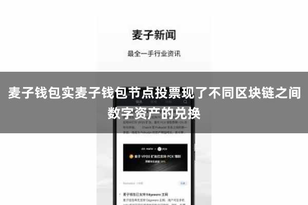 麦子钱包实麦子钱包节点投票现了不同区块链之间数字资产的兑换