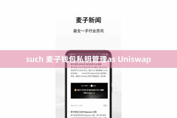such 麦子钱包私钥管理as Uniswap