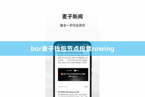 bor麦子钱包节点投票rowing
