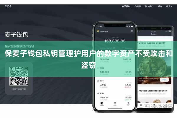 保麦子钱包私钥管理护用户的数字资产不受攻击和盗窃