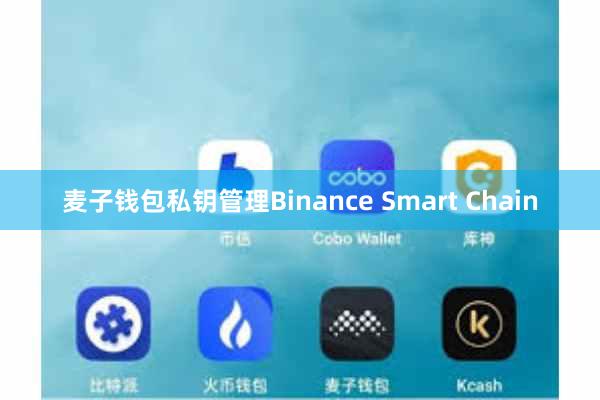 麦子钱包私钥管理Binance Smart Chain