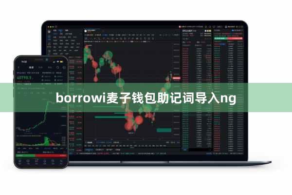 borrowi麦子钱包助记词导入ng