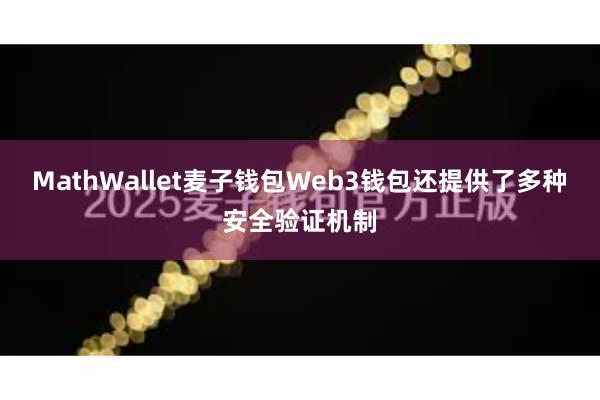MathWallet麦子钱包Web3钱包还提供了多种安全验证机制