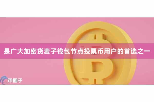 是广大加密货麦子钱包节点投票币用户的首选之一