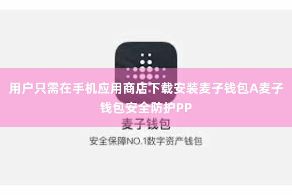 用户只需在手机应用商店下载安装麦子钱包A麦子钱包安全防护PP