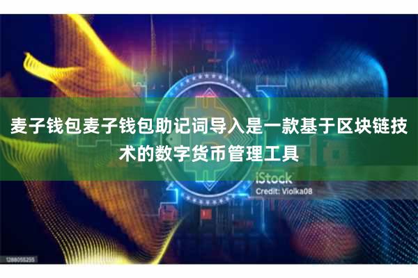 麦子钱包麦子钱包助记词导入是一款基于区块链技术的数字货币管理工具