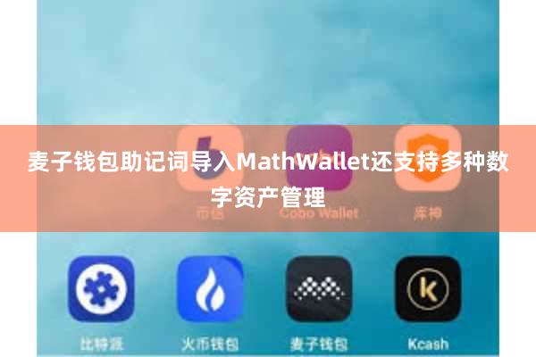 麦子钱包助记词导入MathWallet还支持多种数字资产管理